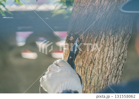 Japanese Gardener 131558062