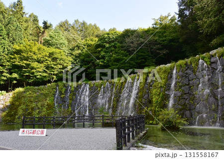 山中湖花の都公園　清流の里の明神の滝と案内板 131558167