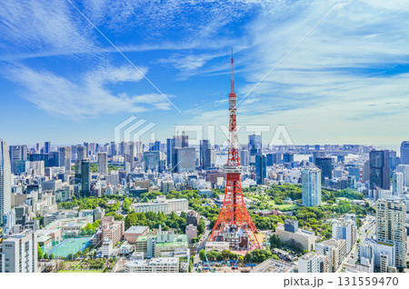 東京の都市風景 131559470