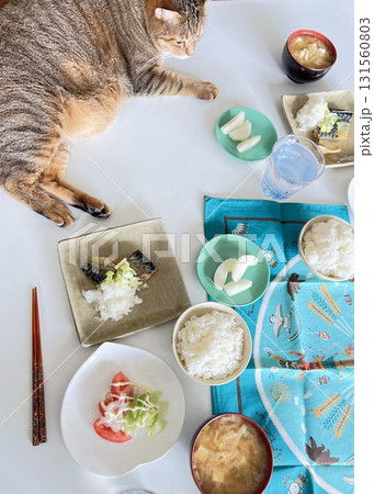 和食の朝食と猫 和食の朝食と猫 131560803