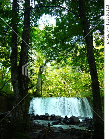 緑の中を流れる銚子大滝 131561123