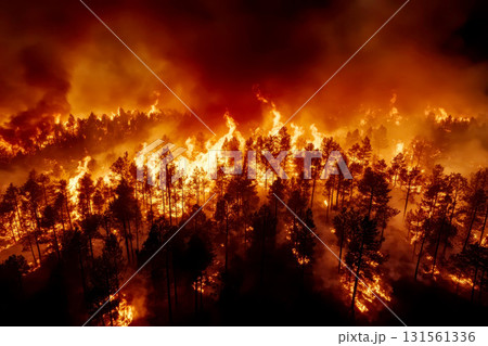 Forest Fire, Consequences of Poor Environmental Management and Climate Change - Vast Forest Engulfed in Flames and Smoke 131561336