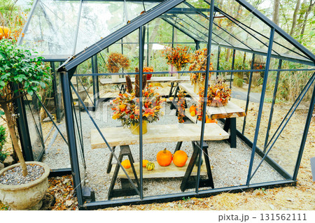 箱根のハロウィンのカボチャ 131562111