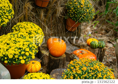 箱根のハロウィンのカボチャ 131562122