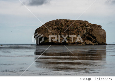 Rocky coastal island with nesting seabirds and reflection Rocky coastal island with nesting seabirds and reflection 131562275