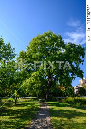 初秋の一日（中島公園）_0479 131562789