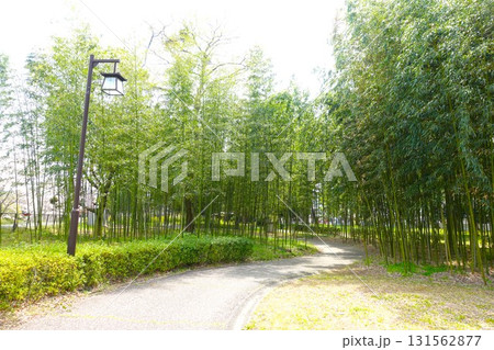 御油松並木公園 御油松並木公園 131562877