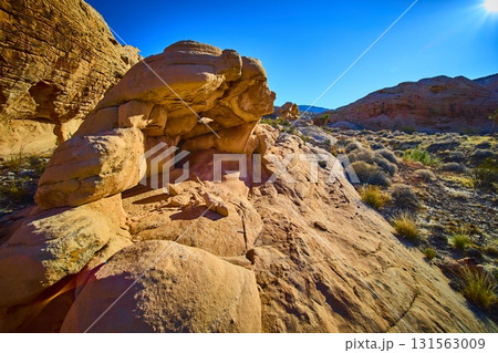 Sandstone Formations and Desert Vegetation under Bright Blue Sky 131563009