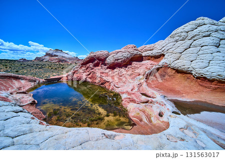 Swirling Sandstone Formations and Reflective Pool White Pocket Arizona Desert Sky Swirling Sandstone Formations and Reflective Pool White Pocket Arizona Desert Sky 131563017