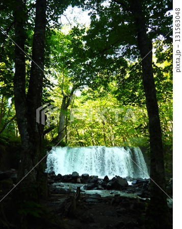 奥入瀬渓流の風景 131563048