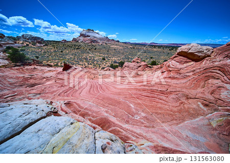 Swirling Sandstone Formations and Desert Wilderness at White Pocket Marble Canyon 131563080