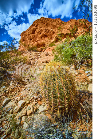 Desert Cactus and Red Rock Formation Under Blue Sky Nevada 131563098