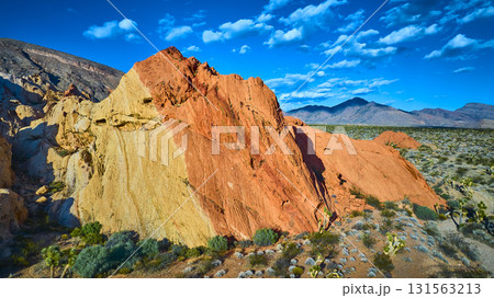 Aerial Colorful Sandstone Formations and Desert Landscape Whitney Pocket Nevada Aerial Colorful Sandstone Formations and Desert Landscape Whitney Pocket Nevada 131563213