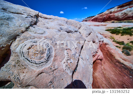 Weathered Rock Texture with Fossil Patterns and Sandstone Hills White Pocket 131563252