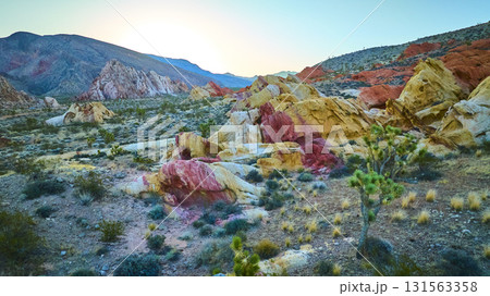 Colorful Sandstone Formations and Joshua Trees at Golden Hour Desert Nevada 131563358