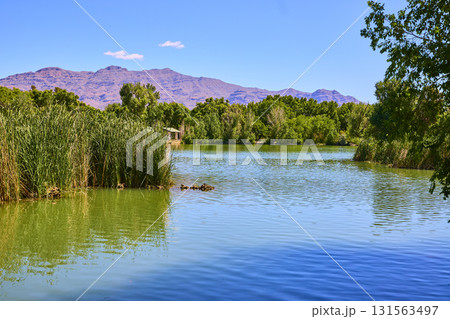 Pond With Greenery And Distant Mountains At Floyd Lamb Park In Las Vegas Nevada Pond With Greenery And Distant Mountains At Floyd Lamb Park In Las Vegas Nevada 131563497
