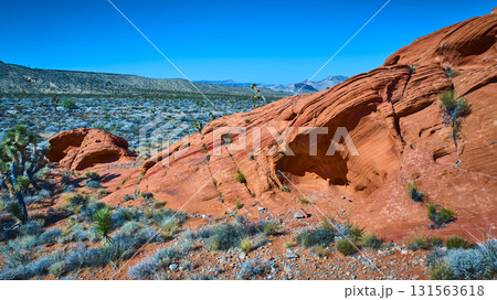 Red Sandstone Formations and Desert Vegetation in Nevada Desert Landscape Red Sandstone Formations and Desert Vegetation in Nevada Desert Landscape 131563618