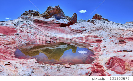 White Pocket Swirling Sandstone Reflections and Pool Vermilion Cliffs Arizona 131563675