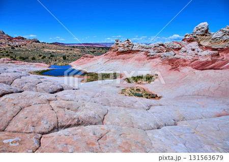 White Pocket Sandstone Formations with Reflective Pool Arizona Desert Daylight 131563679