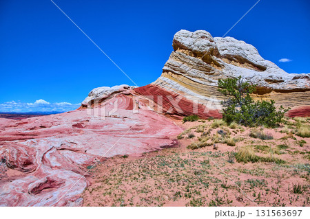 Vermilion Cliffs Swirling Sandstone Layers with Desert Vegetation Under Blue Sky 131563697