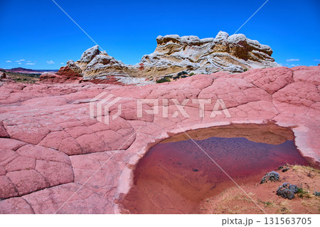 White Pocket Sandstone Pool and Colorful Rock Formations in Arizona Desert White Pocket Sandstone Pool and Colorful Rock Formations in Arizona Desert 131563705