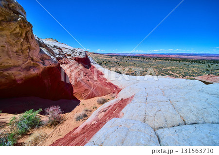 Colorful Layered Sandstone Formations and Desert Vegetation White Pocket Arizona Colorful Layered Sandstone Formations and Desert Vegetation White Pocket Arizona 131563710