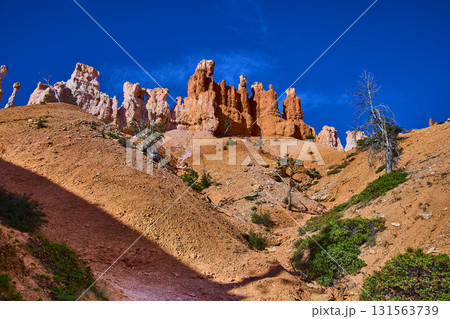 Bryce Canyon Hoodoo Formations Rugged Orange Landscape and Blue Sky Utah Bryce Canyon Hoodoo Formations Rugged Orange Landscape and Blue Sky Utah 131563739