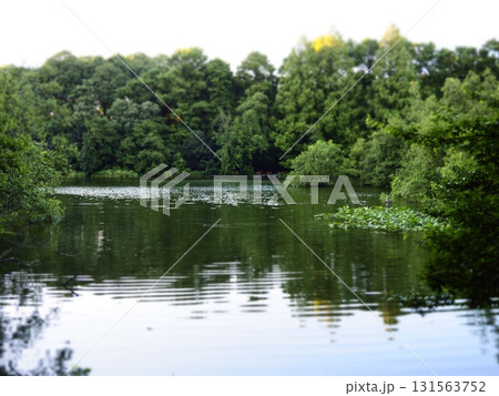 池のほとり。池畔の景色。ジオラマ風。 131563752