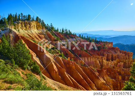 Bryce Canyon Hoodoos and Pine Trees in Vibrant Sunlight Utah Scenic Landscape 131563761