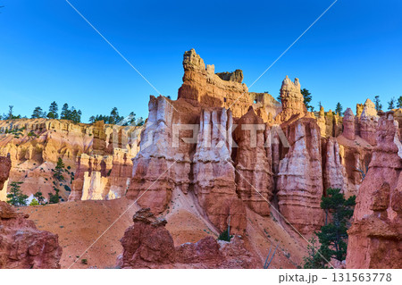 Bryce Canyon Hoodoo Spires and Pine Trees Under Clear Blue Sky Utah Bryce Canyon Hoodoo Spires and Pine Trees Under Clear Blue Sky Utah 131563778