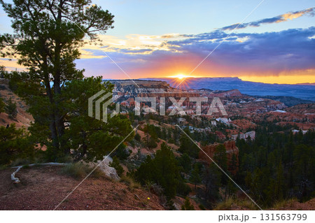 Bryce Canyon Hoodoos Sunrise Point Pine Trees at Golden Hour 131563799