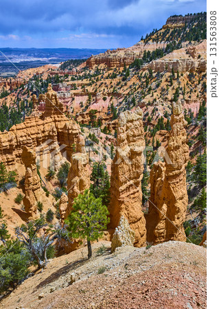 Bryce Canyon Hoodoos and Pine Trees in Sunlit Utah Landscape Bryce Canyon Hoodoos and Pine Trees in Sunlit Utah Landscape 131563808