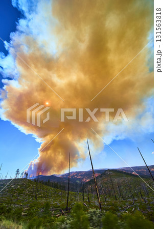 Wildfire Smoke Plume Over Canyon Burn Scar and Sun in Dramatic Forest Landscape Wildfire Smoke Plume Over Canyon Burn Scar and Sun in Dramatic Forest Landscape 131563818