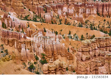 Bryce Canyon Hoodoos and Pine Trees at Sunrise Point in Utah 131563834