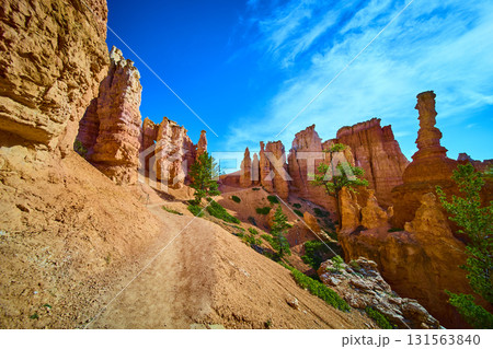 Bryce Canyon Hoodoo Formations Trail and Pine Trees Under Blue Sky Bryce Canyon Hoodoo Formations Trail and Pine Trees Under Blue Sky 131563840