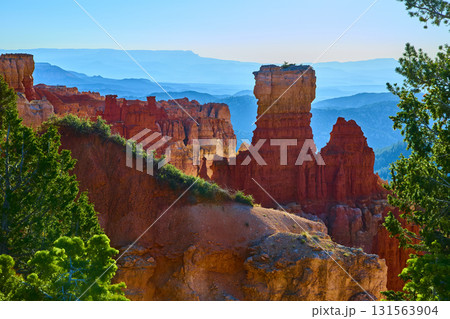 Bryce Canyon Hoodoo Rock Formation and Pine Trees at Scenic Overlook Bryce Canyon Hoodoo Rock Formation and Pine Trees at Scenic Overlook 131563904