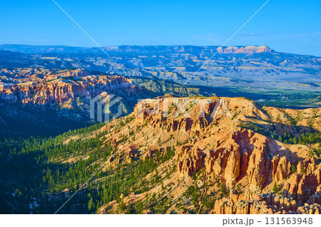 Bryce Canyon Hoodoos Pine Forest and Plateau Panorama in Dramatic Golden Light 131563948