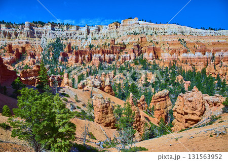 Bryce Canyon Hoodoos and Pine Trees Under Vibrant Blue Sky in Utah Bryce Canyon Hoodoos and Pine Trees Under Vibrant Blue Sky in Utah 131563952