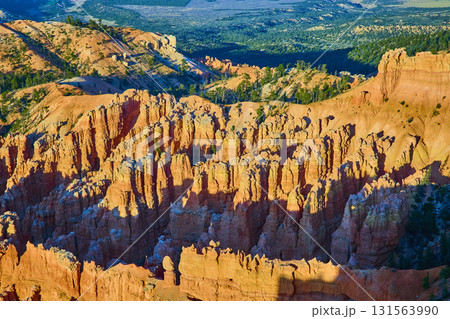 Bryce Canyon Hoodoos and Pine Trees at Sunrise from Bryce Point Utah Bryce Canyon Hoodoos and Pine Trees at Sunrise from Bryce Point Utah 131563990