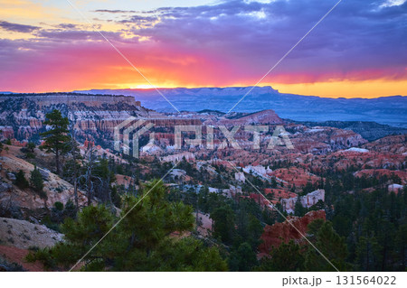 Bryce Canyon Sunrise Point Colorful Hoodoos and Pine Trees at Golden Hour 131564022