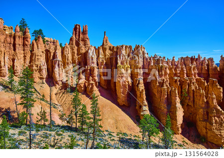 Bryce Canyon Hoodoos and Pine Trees Under Clear Blue Sky Utah Landscape Bryce Canyon Hoodoos and Pine Trees Under Clear Blue Sky Utah Landscape 131564028
