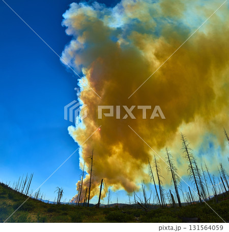 Panorama Wildfire Smoke and Burnt Forest in Bryce Canyon National Park Utah 131564059