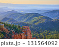 Bryce Canyon National Park Red Rock Cliffs Pine Forest and Mountain Vista Utah 131564092