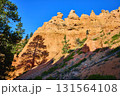 Bryce Canyon Hoodoo Rock Formations with Pine Tree Shadow and Clear Blue Sky 131564108