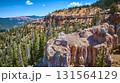 Aerial Blowhard Mountain Red Rock Cliffs and Pine Forest Dixie National Forest 131564129