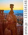 Thor's Hammer Hoodoo at Sunrise in Bryce Canyon National Park Utah Golden Hour 131564148