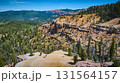 Aerial Blowhard Mountain Cliffs Pine Forest Dixie National Forest Utah 131564157