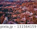 Bryce Canyon Hoodoos and Pine Trees at Sunrise in Golden Hour Light 131564159