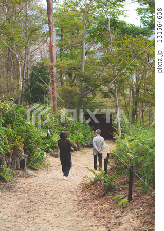 箱根のハロウィンのカボチャ 箱根のハロウィンのカボチャ 131564638