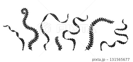 legant curvy Art nouveau style seaweed hand drawn monochrome silhouette vector illustration set 131565677